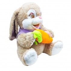 Λούτρινο Κουνέλι με Καρότο Amek Toys 45cm 2