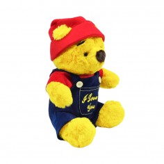 Λούτρινο Αρκουδάκι με Φόρμα Amek Toys 33cm 2