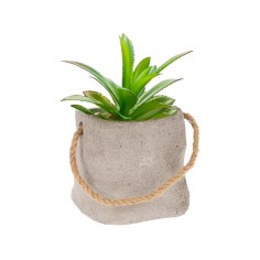 Κασπώ Γκρι με Τεχνητό Φυτό 2