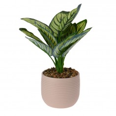 Κασπώ με Τεχνητό Φυτό Μεσαίο 2