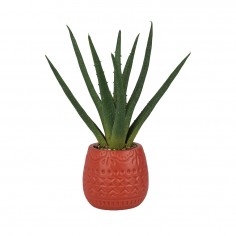 Κασπώ με Τεχνητό Φυτό Αλόη 2