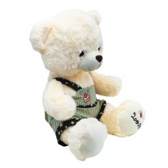 Λούτρινο Αρκουδάκι με Πράσινα Ρούχα Love Amek Toys 40cm 2