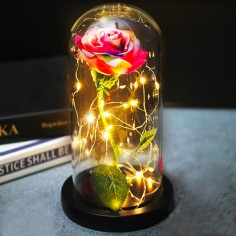 Τριαντάφυλλο Forever Rose Πολύχρωμο με Λαμπάκια 2